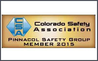 logo-safety-csa